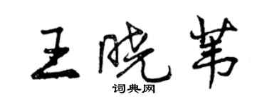 曾慶福王曉葦行書個性簽名怎么寫