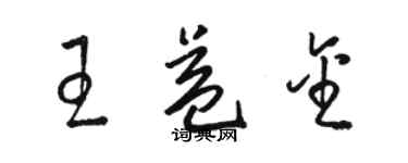 駱恆光王益金草書個性簽名怎么寫