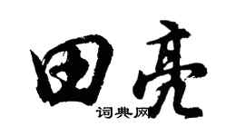 胡問遂田亮行書個性簽名怎么寫