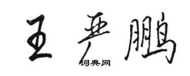 駱恆光王嚴鵬行書個性簽名怎么寫