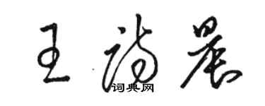 駱恆光王詩晨草書個性簽名怎么寫