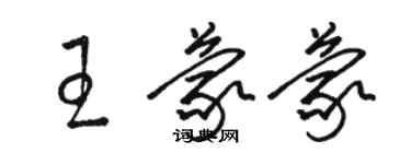 駱恆光王蒙蒙草書個性簽名怎么寫