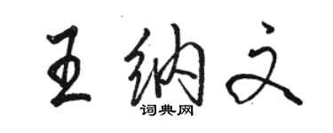 駱恆光王納文行書個性簽名怎么寫