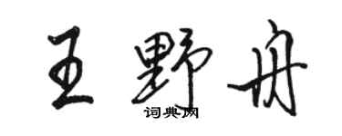 駱恆光王野舟行書個性簽名怎么寫