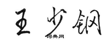 駱恆光王少鋼行書個性簽名怎么寫