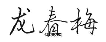 駱恆光龍春梅行書個性簽名怎么寫