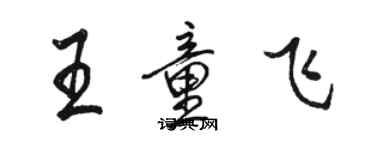 駱恆光王童飛行書個性簽名怎么寫