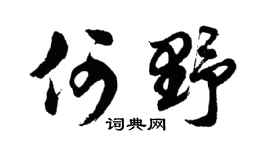 胡問遂何野行書個性簽名怎么寫