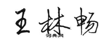 駱恆光王林暢行書個性簽名怎么寫