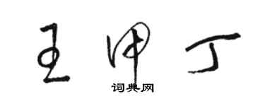 駱恆光王甲丁草書個性簽名怎么寫