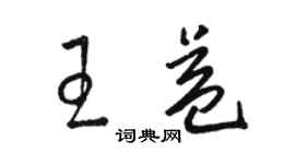 駱恆光王益草書個性簽名怎么寫