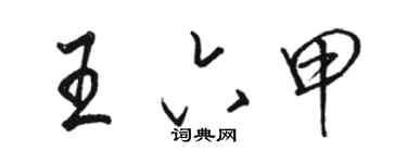 駱恆光王六甲行書個性簽名怎么寫