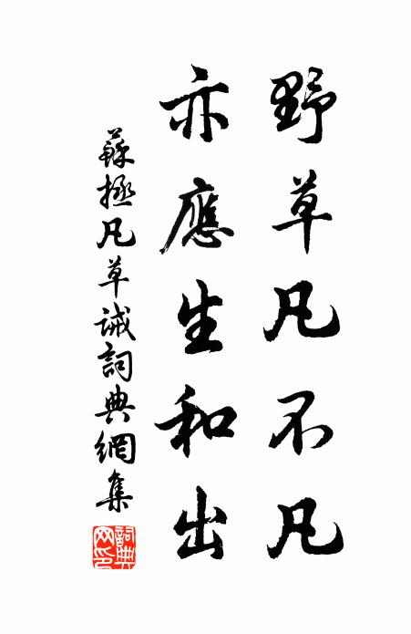 花枝易空人易老，人生安得無醜好 詩詞名句