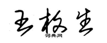 朱錫榮王枚生草書個性簽名怎么寫