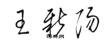 駱恆光王新陽草書個性簽名怎么寫