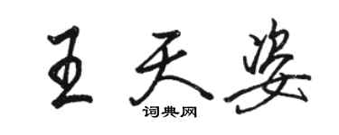 駱恆光王天姿行書個性簽名怎么寫