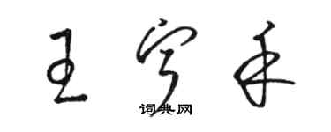 駱恆光王寧禾草書個性簽名怎么寫