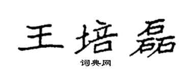 袁強王培磊楷書個性簽名怎么寫