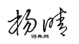 駱恆光楊晴草書個性簽名怎么寫