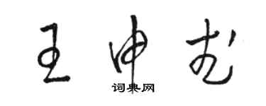 駱恆光王申武草書個性簽名怎么寫