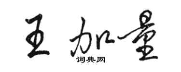 駱恆光王加量行書個性簽名怎么寫