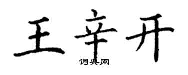 丁謙王辛開楷書個性簽名怎么寫