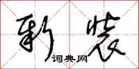 王冬齡新裝草書怎么寫