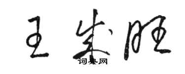 駱恆光王成旺草書個性簽名怎么寫