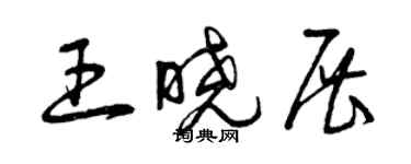 曾慶福王曉展草書個性簽名怎么寫