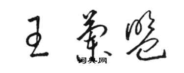 駱恆光王蘭盟草書個性簽名怎么寫