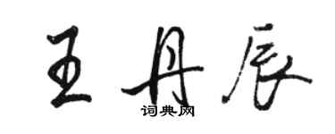 駱恆光王丹辰行書個性簽名怎么寫