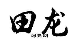 胡問遂田龍行書個性簽名怎么寫