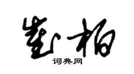 朱錫榮崔柏草書個性簽名怎么寫