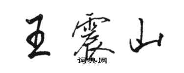 駱恆光王震山行書個性簽名怎么寫