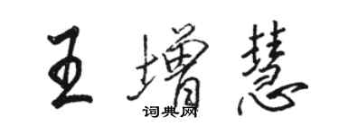 駱恆光王增慧行書個性簽名怎么寫