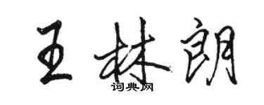 駱恆光王林朗行書個性簽名怎么寫