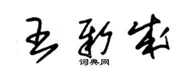 朱錫榮王新成草書個性簽名怎么寫