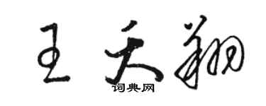 駱恆光王夭翔草書個性簽名怎么寫