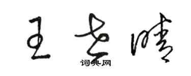 駱恆光王世晴草書個性簽名怎么寫