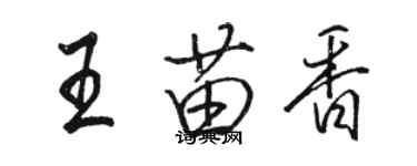 駱恆光王苗香行書個性簽名怎么寫