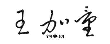 駱恆光王加量草書個性簽名怎么寫