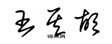 朱錫榮王其胡草書個性簽名怎么寫