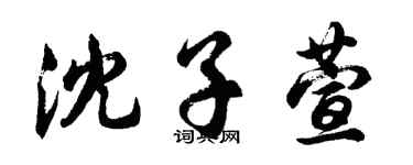 胡問遂沈子萱行書個性簽名怎么寫