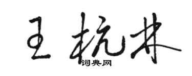 駱恆光王杭林草書個性簽名怎么寫