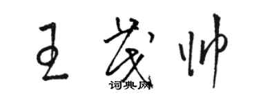 駱恆光王茂帥草書個性簽名怎么寫