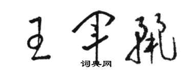 駱恆光王軍麗草書個性簽名怎么寫