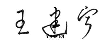 駱恆光王建寧草書個性簽名怎么寫