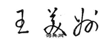 駱恆光王美州草書個性簽名怎么寫