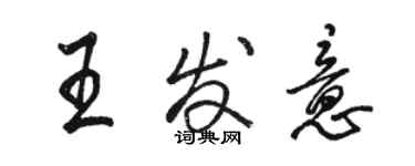 駱恆光王發意行書個性簽名怎么寫