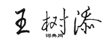 駱恆光王樹添行書個性簽名怎么寫